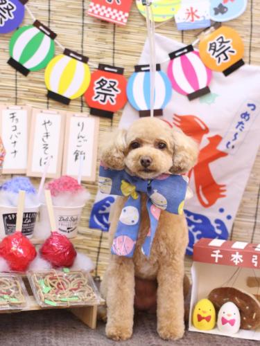 20240724めるちゃん